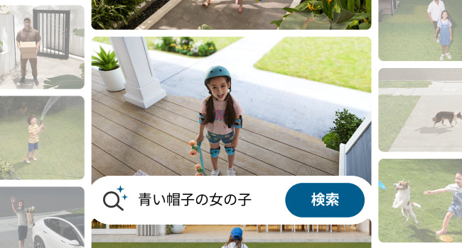 買い切りで、高度なAI検知・認識を搭載