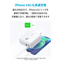 【予約受付終了】10周年オリジナルデザイン Anker PowerCore Fusion 10000